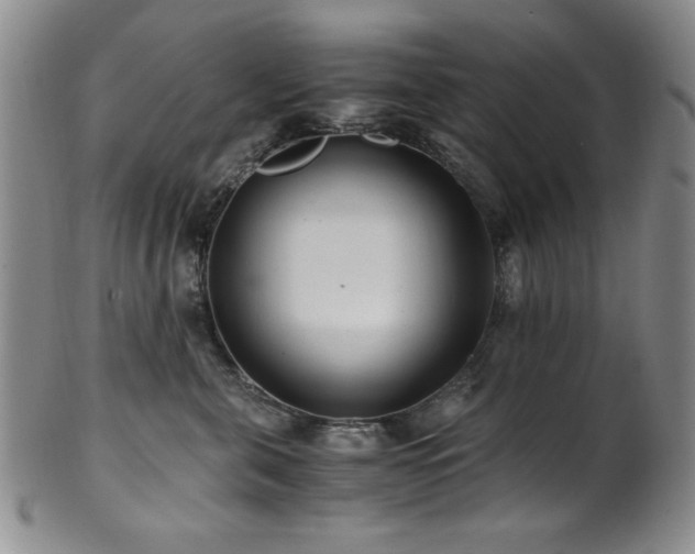 X0000101710571200807101608