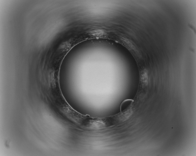 X0000101710572200807101608