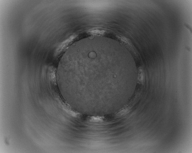 X0000101710573200807101608