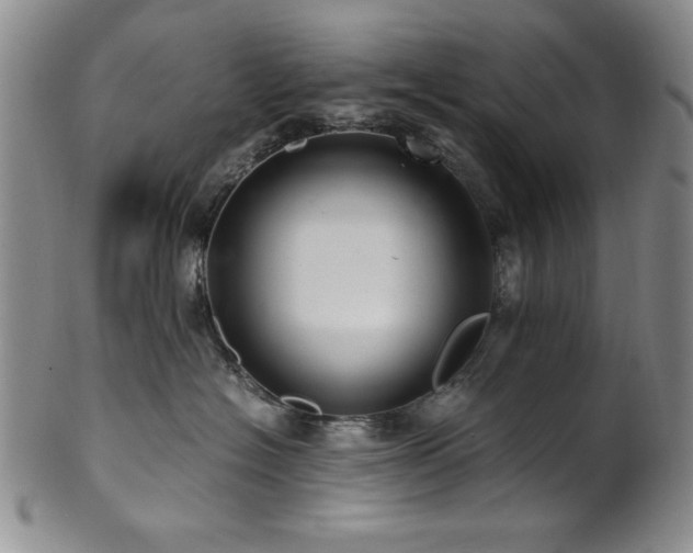 X0000101710574200807101608