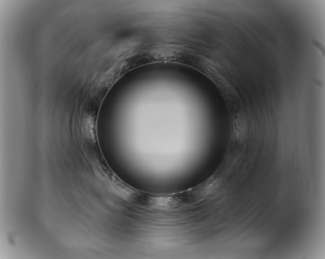 X0000101710575200807101608