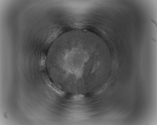 X0000101710576200807101608