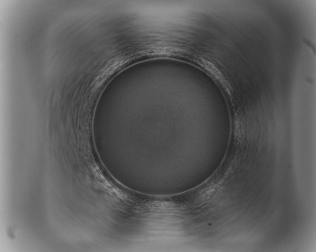 X0000101710577200807101607