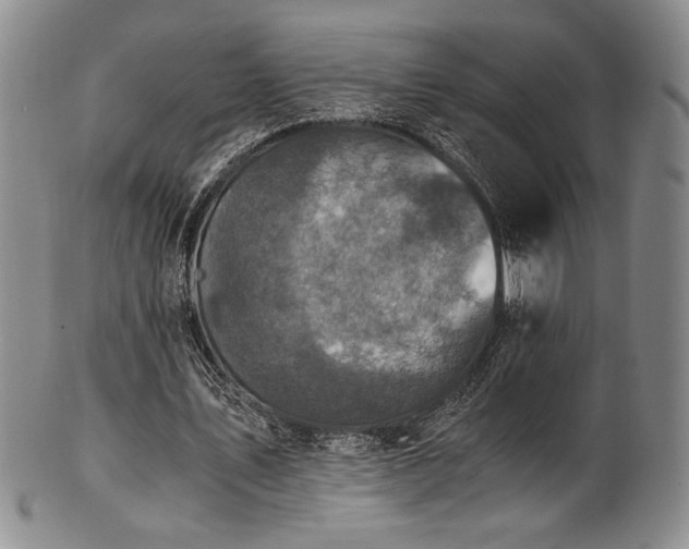 X0000101710579200807101607