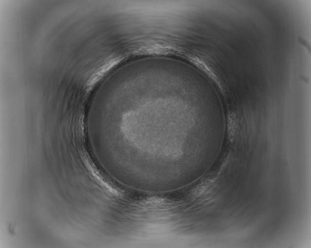 X0000101710581200807101607