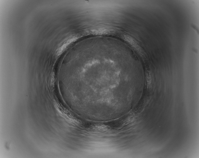 X0000101710583200807101607