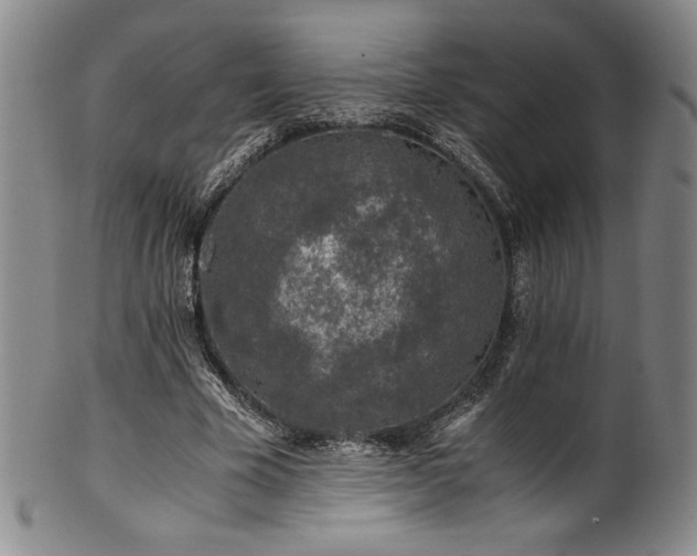 X0000101710585200807101607