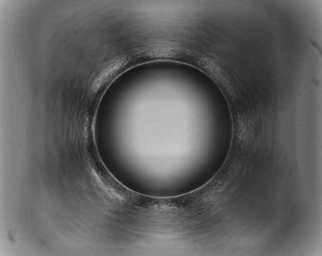 X0000101710586200807101607