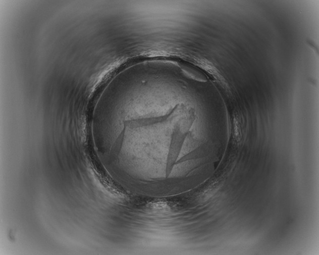 X0000101710588200807101607