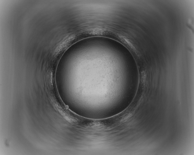 X0000101710589200807101607