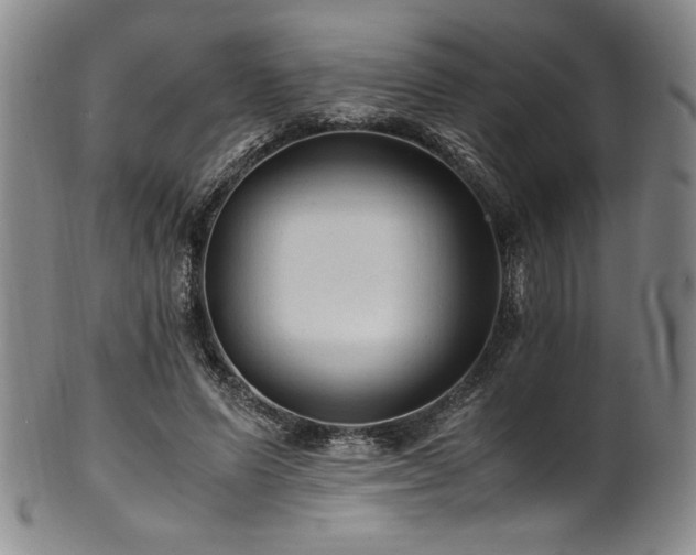 X0000101710591200807101607