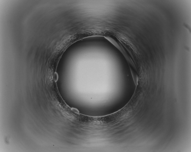 X0000101710593200807101607