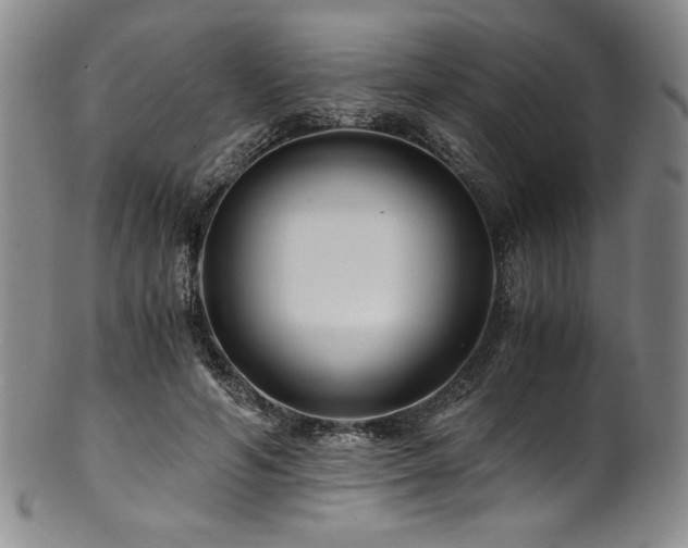 X0000101710594200807101607