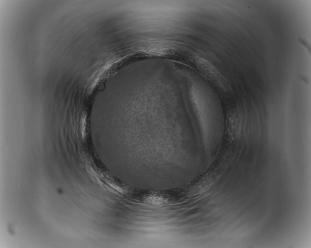 X0000101710596200807101607
