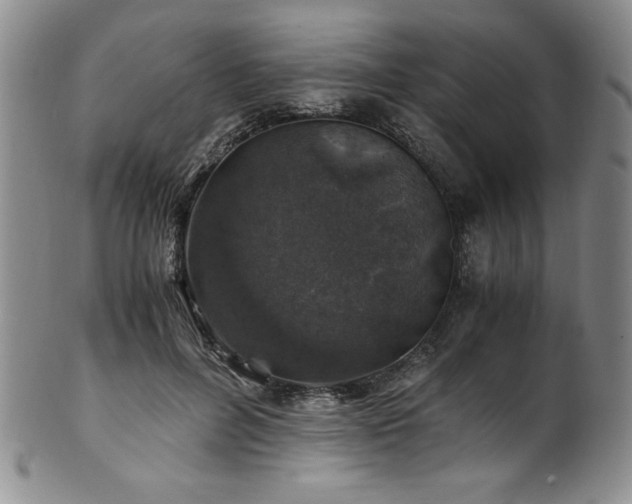 X0000101710600200807101607