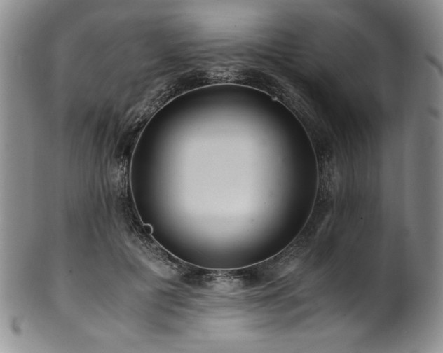X0000101710601200807101607