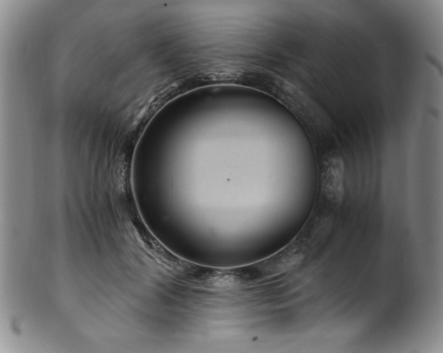 X0000101710604200807101606