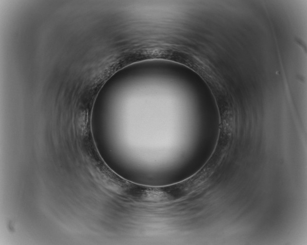 X0000101710605200807101606