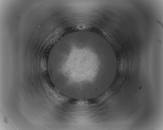 X0000101710606200807101606