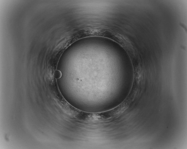 X0000101710607200807101606