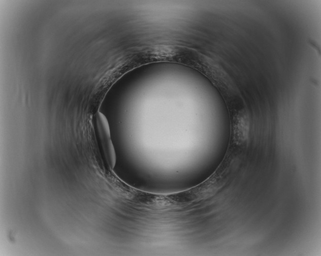 X0000101710608200807101606