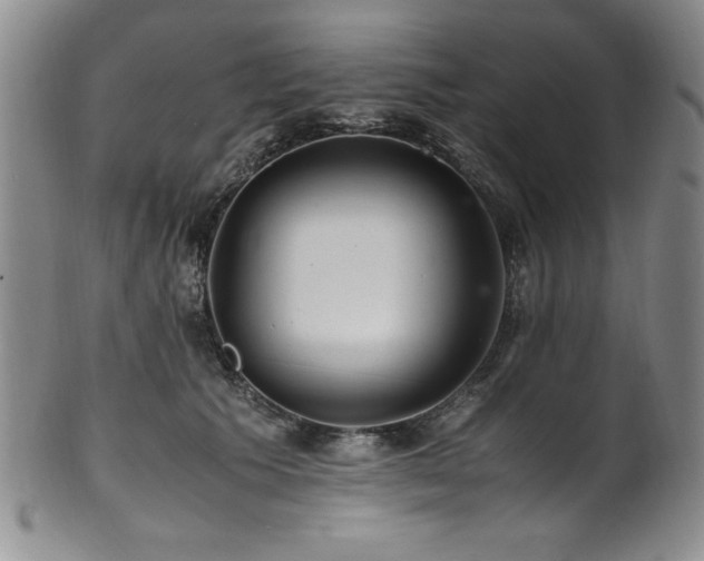 X0000101710609200807101606
