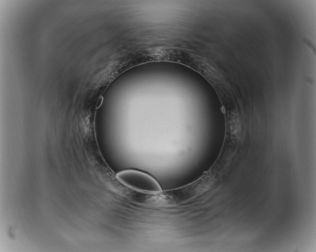 X0000101710611200807101606
