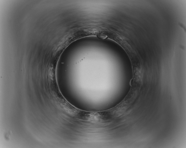 X0000101710612200807101606