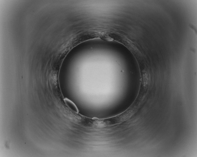 X0000101710613200807101606