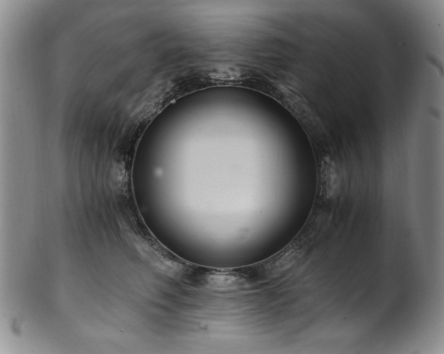 X0000101710614200807101606