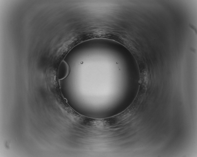 X0000101710615200807101606
