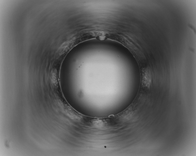 X0000101710616200807101606