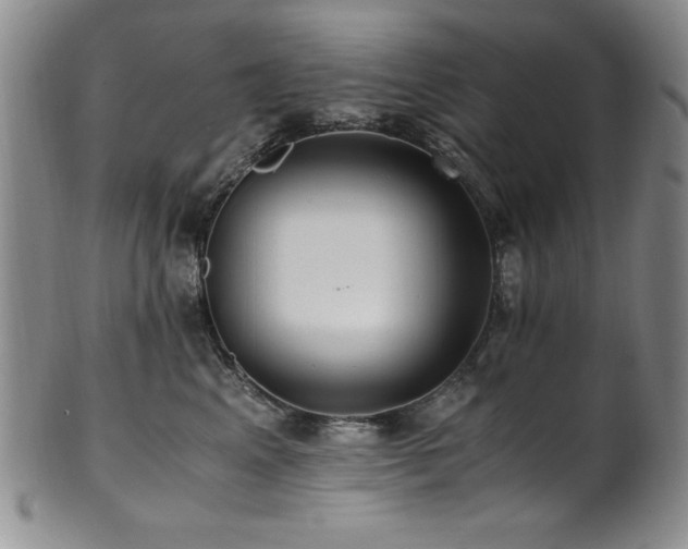 X0000101710617200807101606
