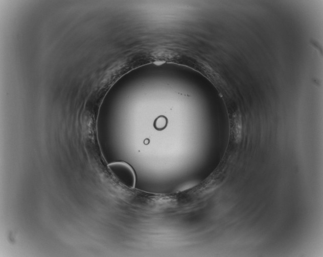X0000101710619200807101606