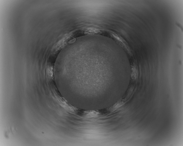 X0000101710621200807101606