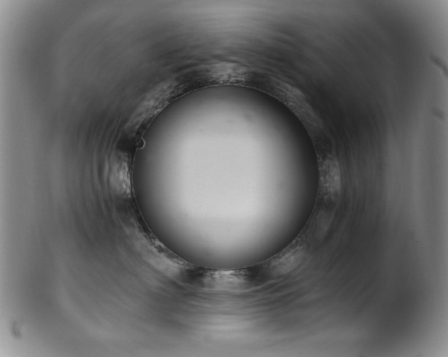 X0000101710622200807101606