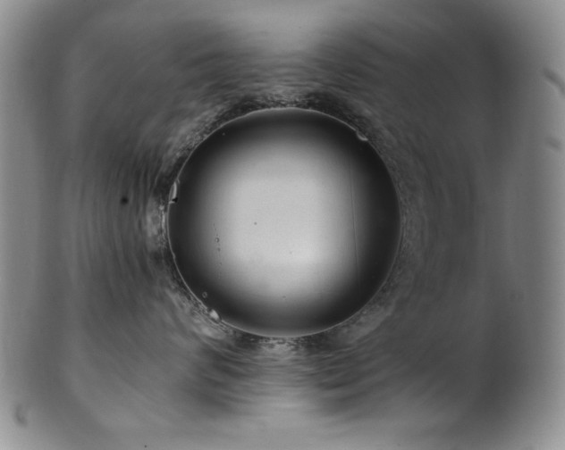 X0000101710624200807101606