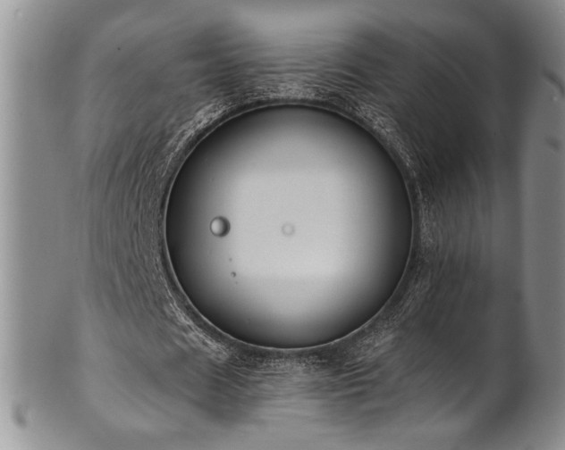 X0000101710625200807101605