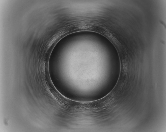 X0000101710626200807101605