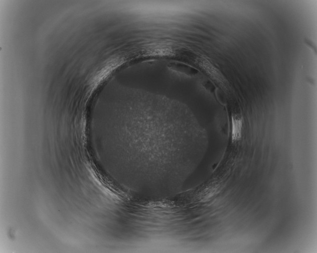 X0000101710627200807101605