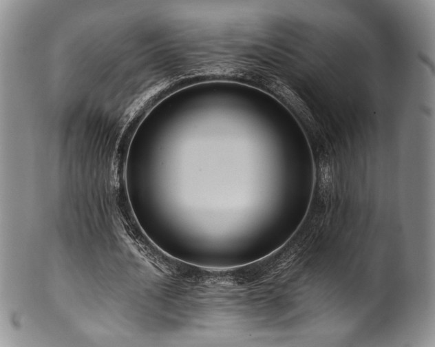 X0000101710628200807101605