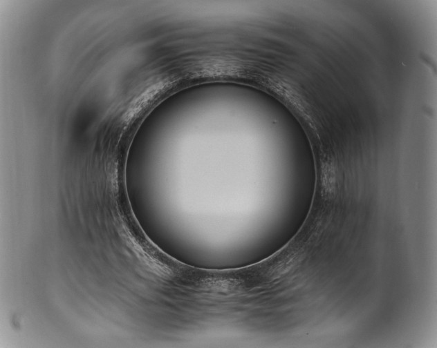 X0000101710629200807101605