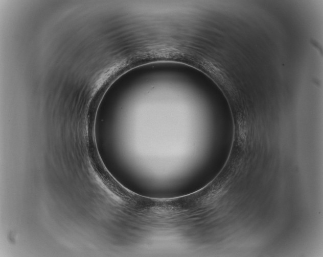 X0000101710630200807101605