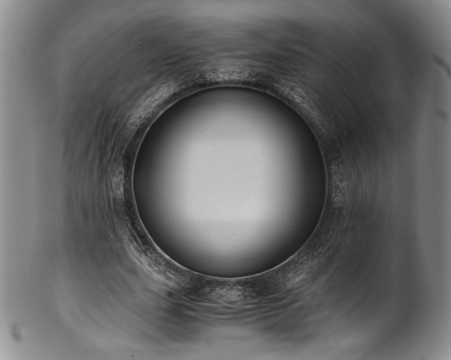 X0000101710631200807101606