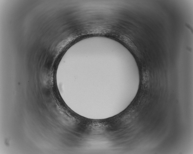 X0000101710632200807101606