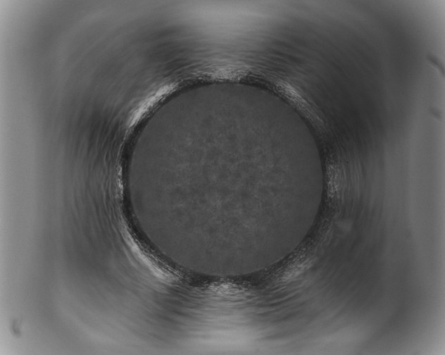 X0000101710634200807101606