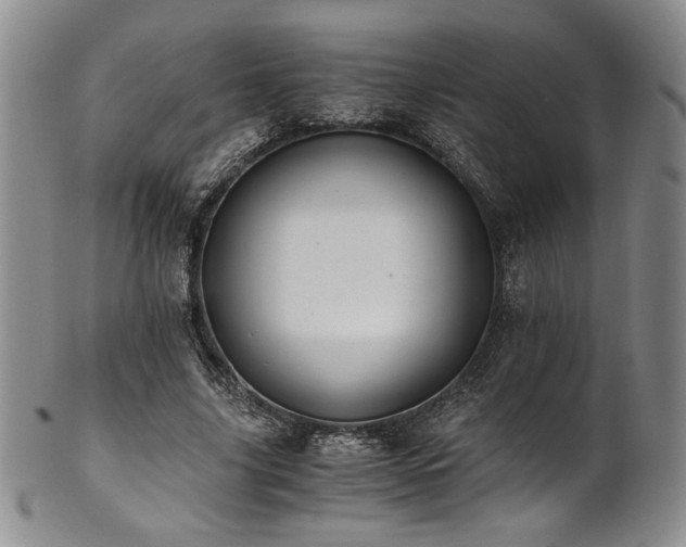 X0000101710635200807101606