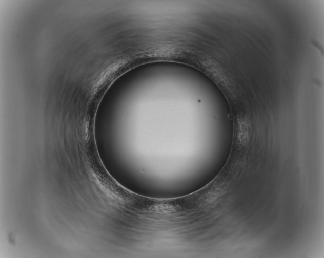 X0000101710636200807101606