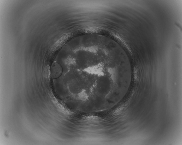 X0000101710637200807101606