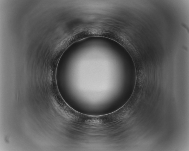 X0000101710639200807101606